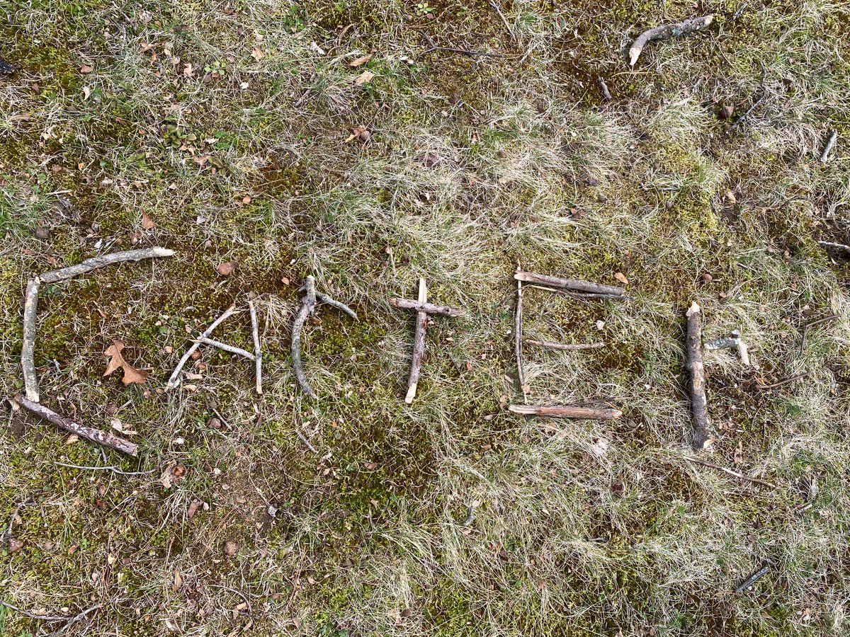 @Mrs_Brunner tweet media