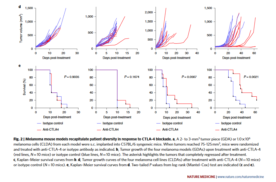 NatureCancer's tweet photo. More #weekendreads: Eva Perez-Guijarro and Glenn Merlino report a new generation of mouse models representing the spectrum of human melanoma to understand clinical responses to #Immunotherapy @NatureMedicine
#NatureCancerPicks
https://t.co/LTv9li4XUG https://t.co/s0ibA4nGfd