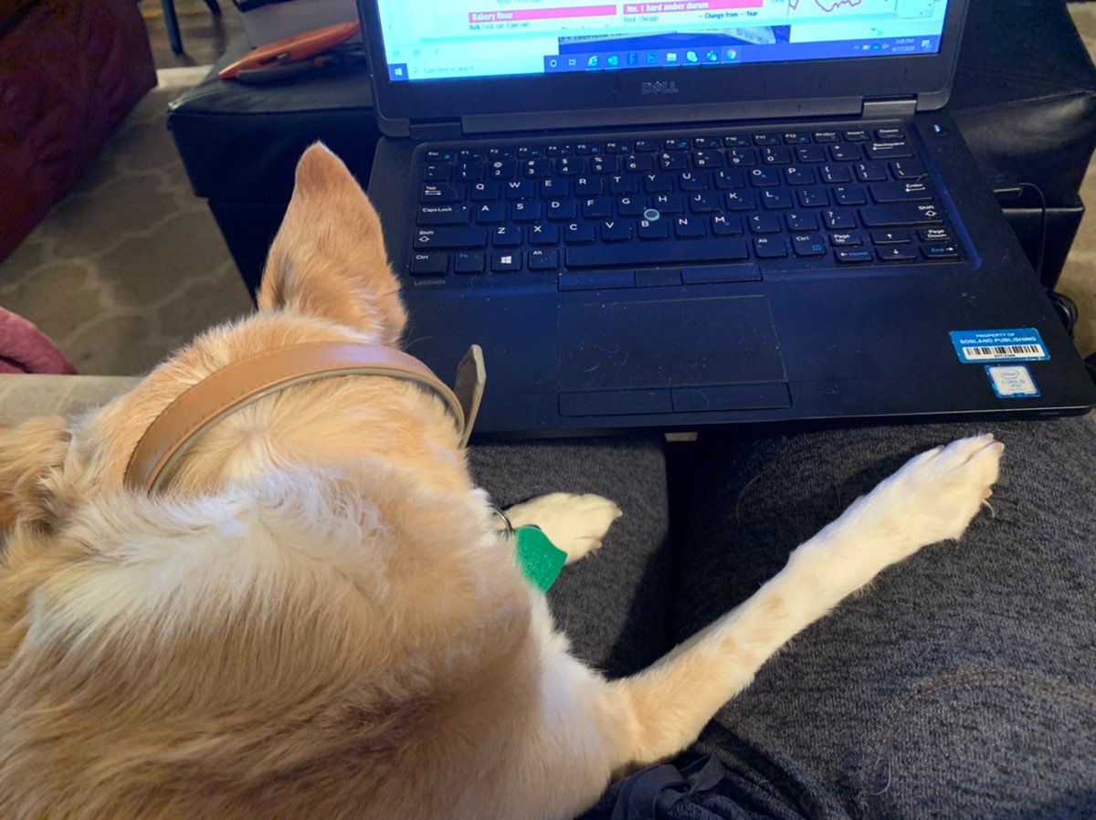 You’d think he’d be tired of having me around so much these days, but he is still clingy as ever. ❤️