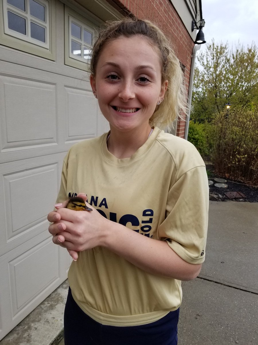 gweny2004's tweet photo. Took a break from making my intro video to save some baby ducks โค๐ฆ #animallover #maybeitsasign @IMG04Boteler @MelyssaLombardi https://t.co/mAzR6sSbUy