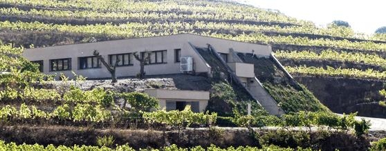 Loidana: 
la frescura del Priorat de la bodega 
<a href="/MarcoAbellaSL/">MarcoAbella</a>
Probablemente, el Priorat es una tierra que habla del vino con voz propia e inconfundible. 
<a href="/doqpriorat/">DOQ Priorat</a>
Excelentes vinos, desde 
<a href="/WINEBLACK2/">𝓦𝓲𝓷𝓮 𝓑𝓵𝓪𝓬𝓴</a>
  te recomendamos este vino y la visita a la bodega
vinetur.com/2020041560042/…