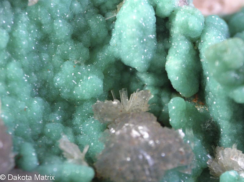 Minshows's tweet photo. Thought I would release the Southeast Phosphate Special Edition to the Dakota Matrix Minerals website this weekend. Brace yourself. https://t.co/4CziKmsuOZ https://t.co/ITPDWRTKP3
