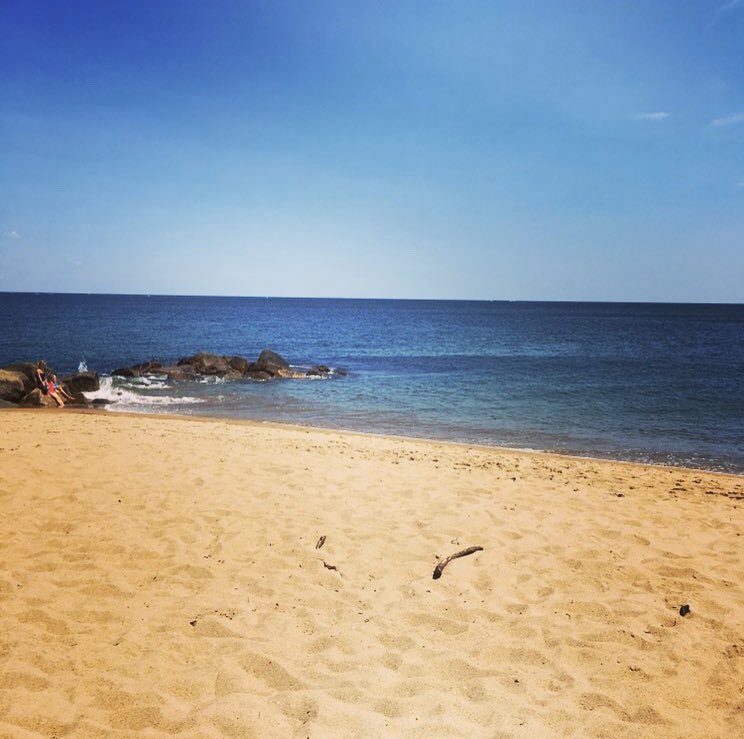 MsWelchRMS's tweet photo. Counting down the days until I hopefully get to spend my week at Plum Island with my family and friends 🤞🏼 one of my favorite sights 😍 @MrsWheeler_RMS @RMSDracut  #neverflyalone https://t.co/iSLmzTiY3x