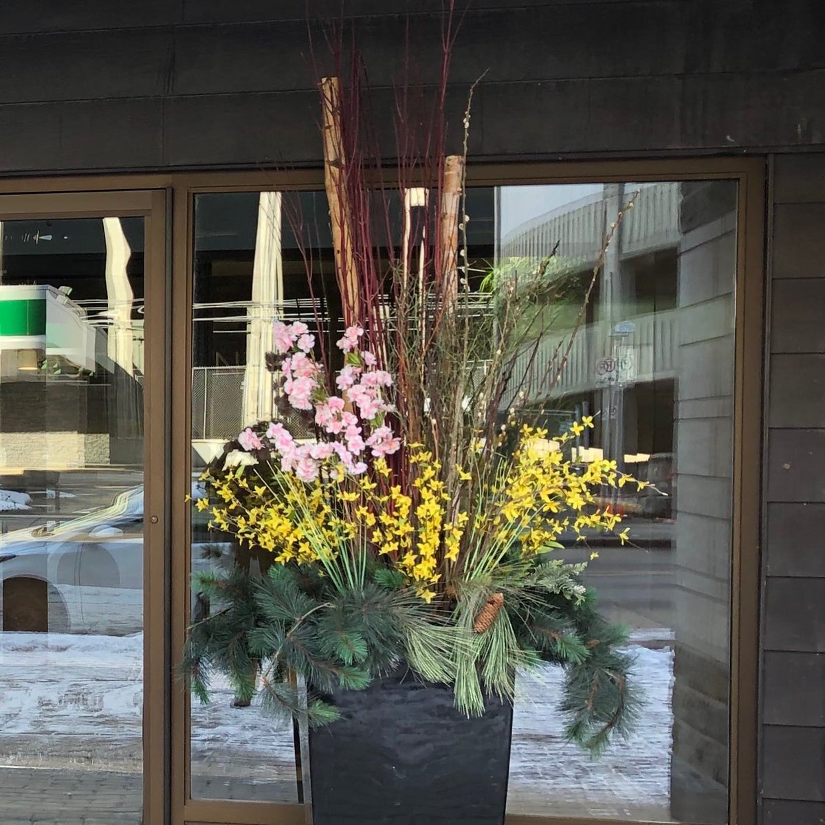 Another beauty! Hey, @CREWCalgary, we may be down but our exterior #planters are up in #YYC!

Book now and spruce up those exterior buildings!

#springplanters2020 #plantsmakeeverythingbetter #yycdesign #stayplanted #cheerup #plantsheal