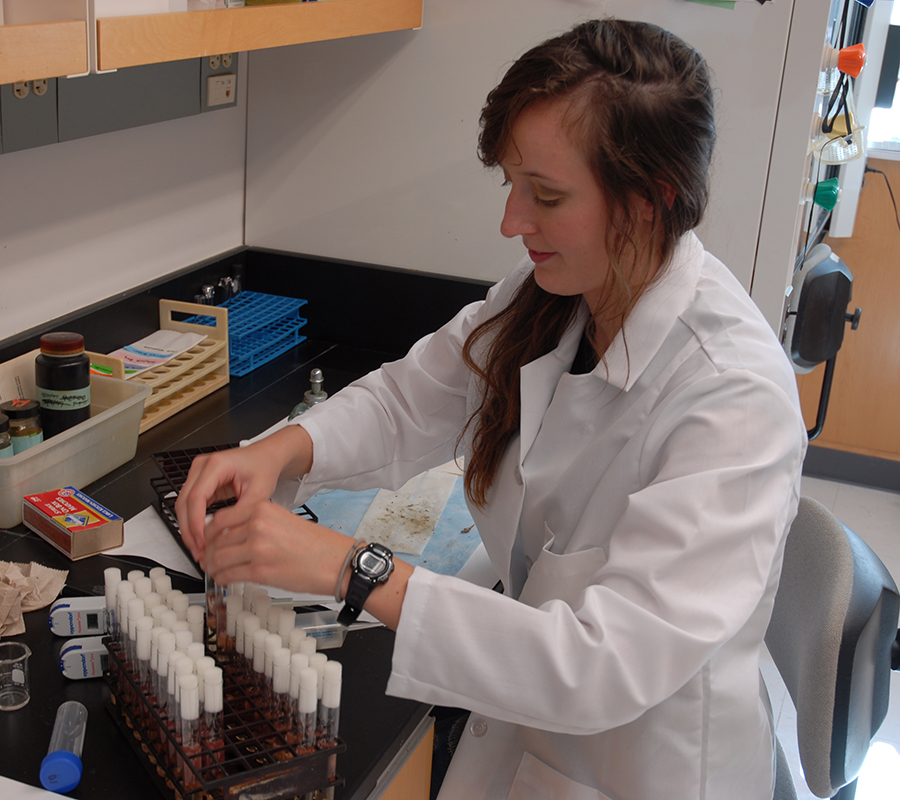 RyanBCarnegie's tweet photo. Shout out to @SaltyBienlien, who did a great job in her PhD qualifier today @VIMS_News! Here she is in a pre-social distancing photo running some #Perkinsus analyses in the lab. Watch this space for more on her work on this important #oyster #aquaculture pathogen in coming months https://t.co/UNxIUXZCZB