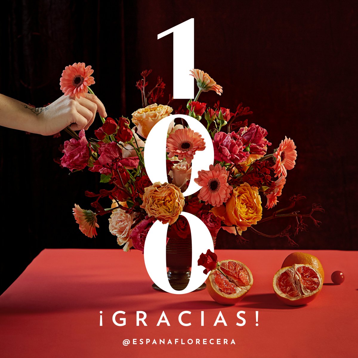 100 actores de la industrial floral española nos reunimos a discutir ideas para enfrentar las consecuencias del #covid19ESP Ahora viene el encuentro latinoamericano. Inscríbete en Instagram @espanaflorecera Necesitamos mentes brillantes #Latinoamericaflorecera #Españaflorecera