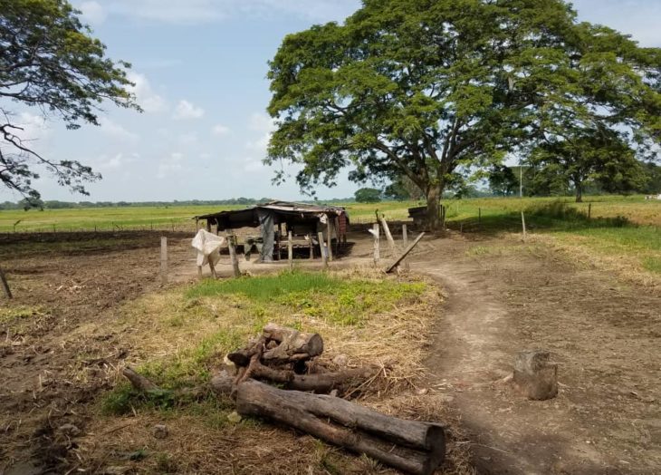 PlataformaAgro1's tweet photo. El agricultor venezolano no cuenta con la protección del Estado. ¡El campo está en manos del hampa!
#VzlaSinAlimentos
#MaduroEsHambre
#AgroVzlanoEnEmergencia
#Venezuela #17Abril https://t.co/PUDW6ItXOY