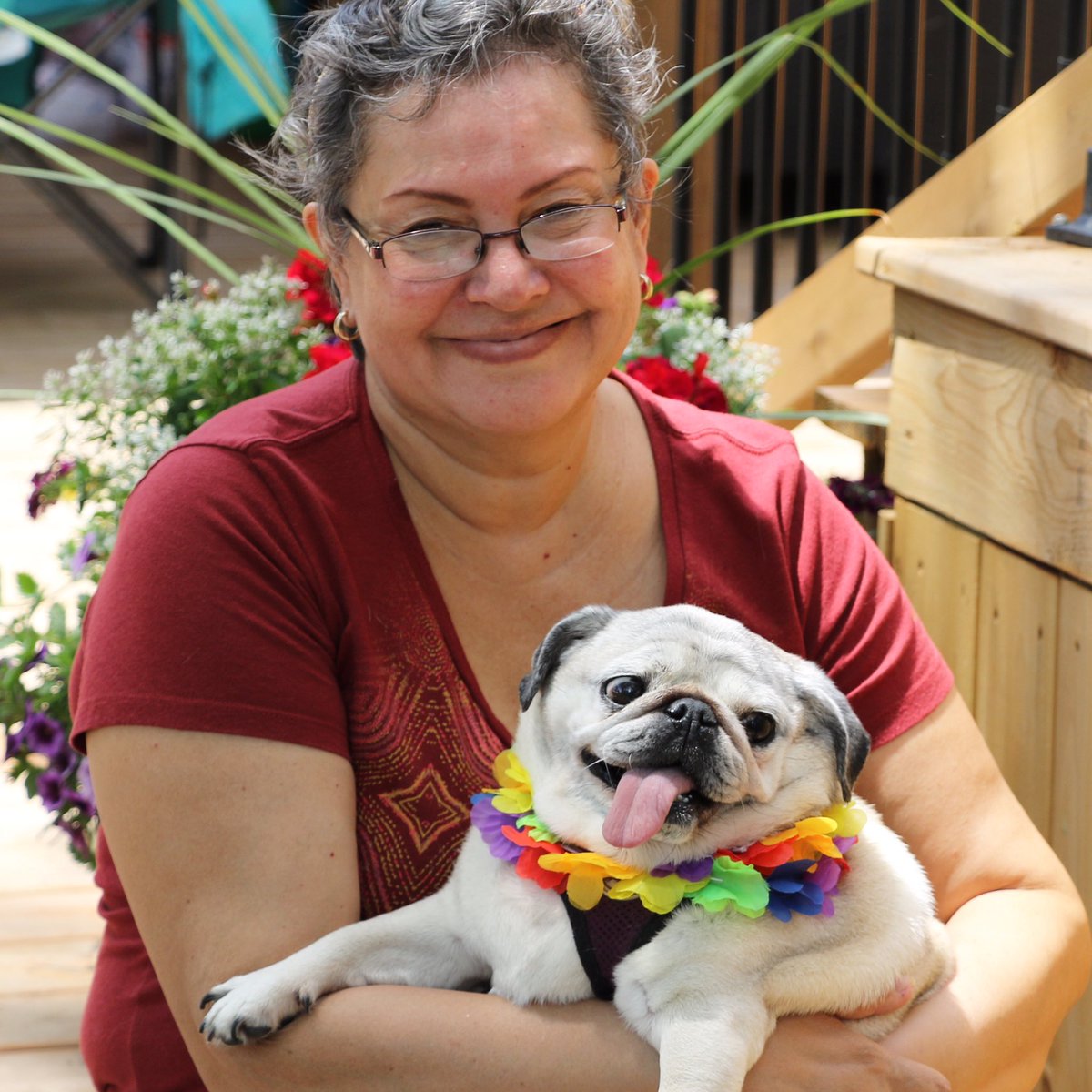 IgorPugDog's tweet photo. Another member of our pug community got her angel wings today💔 Sumi , your sassy bark caught my attention on a walk in our neighbourhood, at 12 yrs you are now pain free. We are gonna miss you 💔💚❤️💜~ Igor 

#pug #rainbowbridge #ldnont https://t.co/8R6YiYfBdO