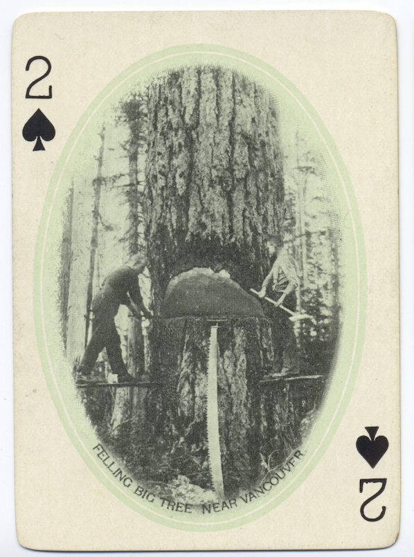 should start saturday with the ace of spades, so here is the 2 of spades: cutting down a "big tree" someplace near vancouver. perhaps in stanley park, where the big trees are found...  @foresthistory