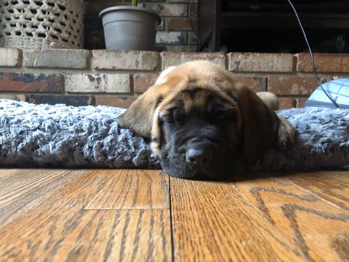 Mrs. Robinson tweet media