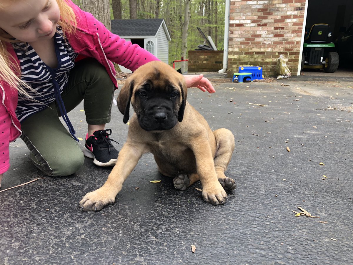 Mrs. Robinson tweet media