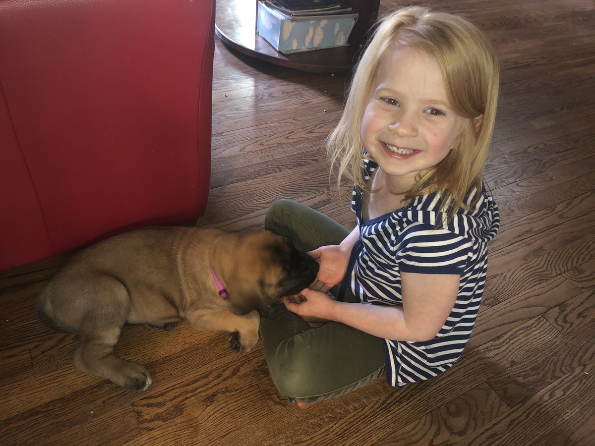 Mrs. Robinson tweet media