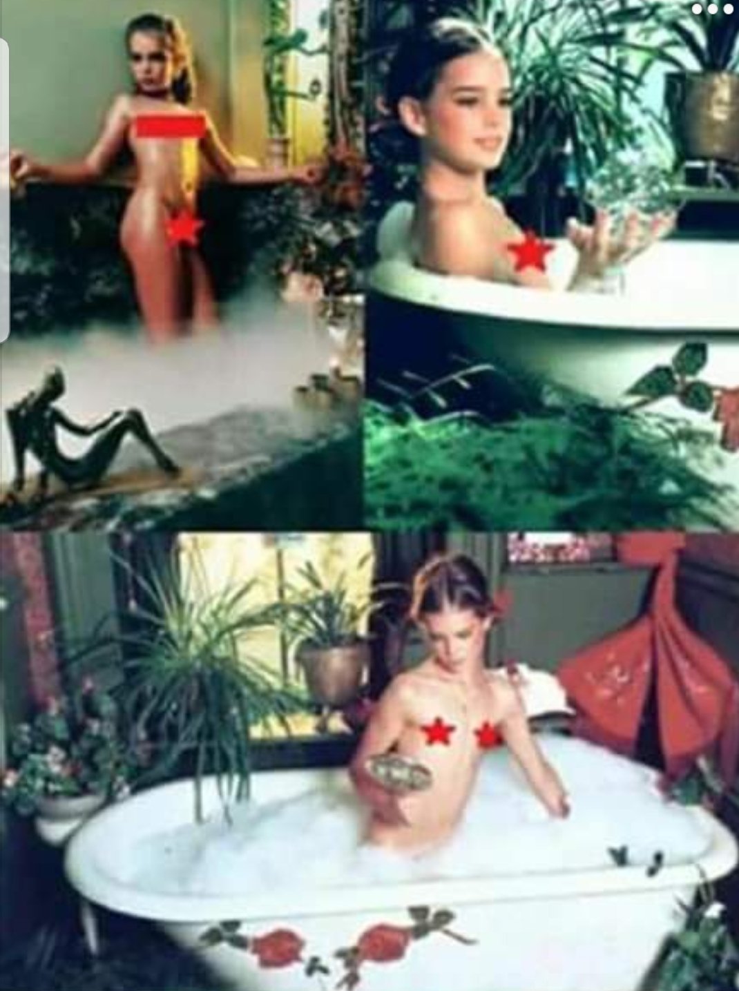 Brooke shields playboy 1976 