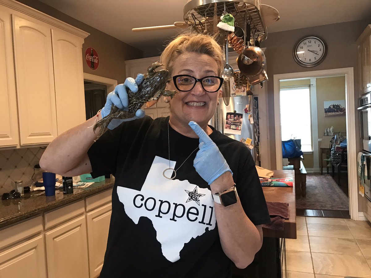lisatwalsh's tweet photo. It was Virtual Frog Dissection Day AND Fun Friday! Shout out to @cvspharmacy for giving me 2 pairs of their gloves for me to use! #CISDTogetherAtHome #CMSNconnected #villagenorth https://t.co/QkAsXUCNc0