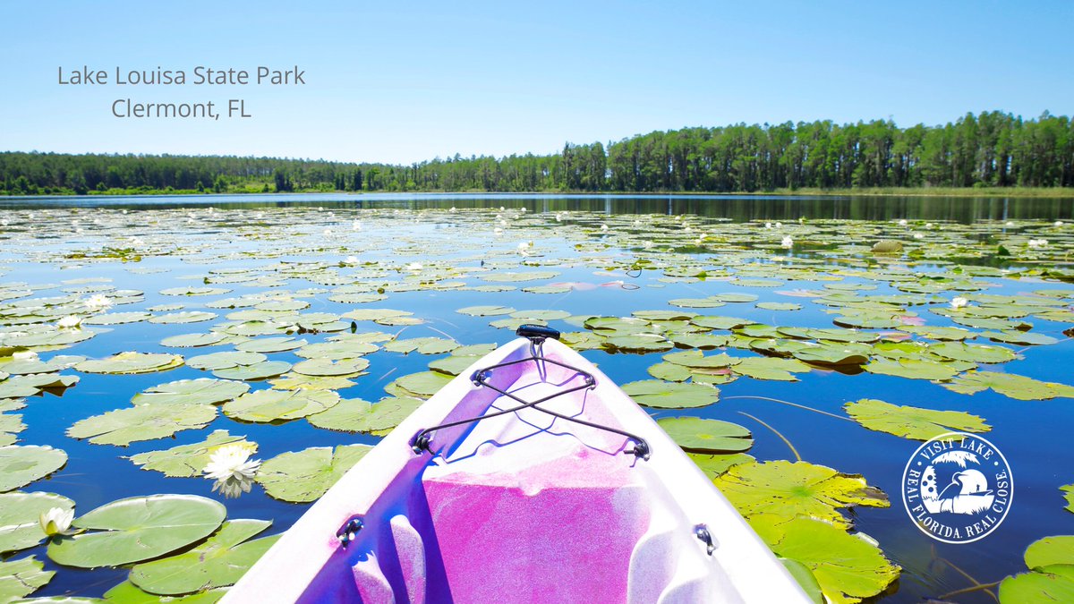 visitlakefl's tweet photo. Happy Monday! Do you have any video conferences this week? Yeah...us too.

Here are some #RealFloridaRealClose virtual backgrounds for you to use in your next meeting.

#WFH #WorkFromHome #lovefl https://t.co/w7hDEfz3jU