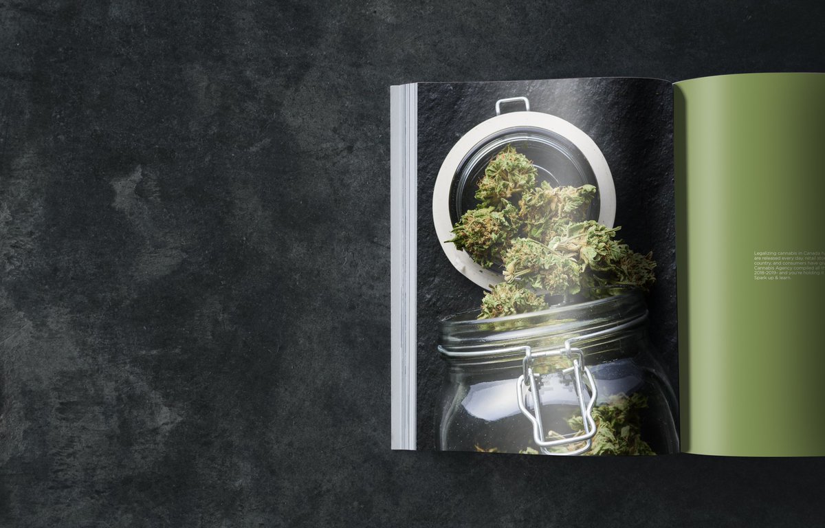 Today we launch our first ever Cannabis coffee table book! Check it out at detonatecannabis.com/shop