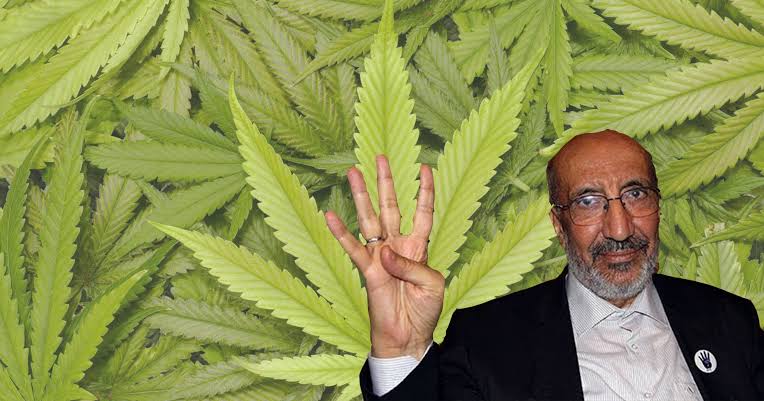 Hojjam? Is this you jsjshjjsjsj