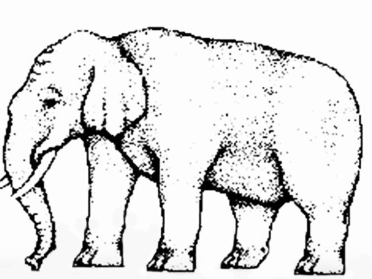 Crazy Optical Illusions tweet media