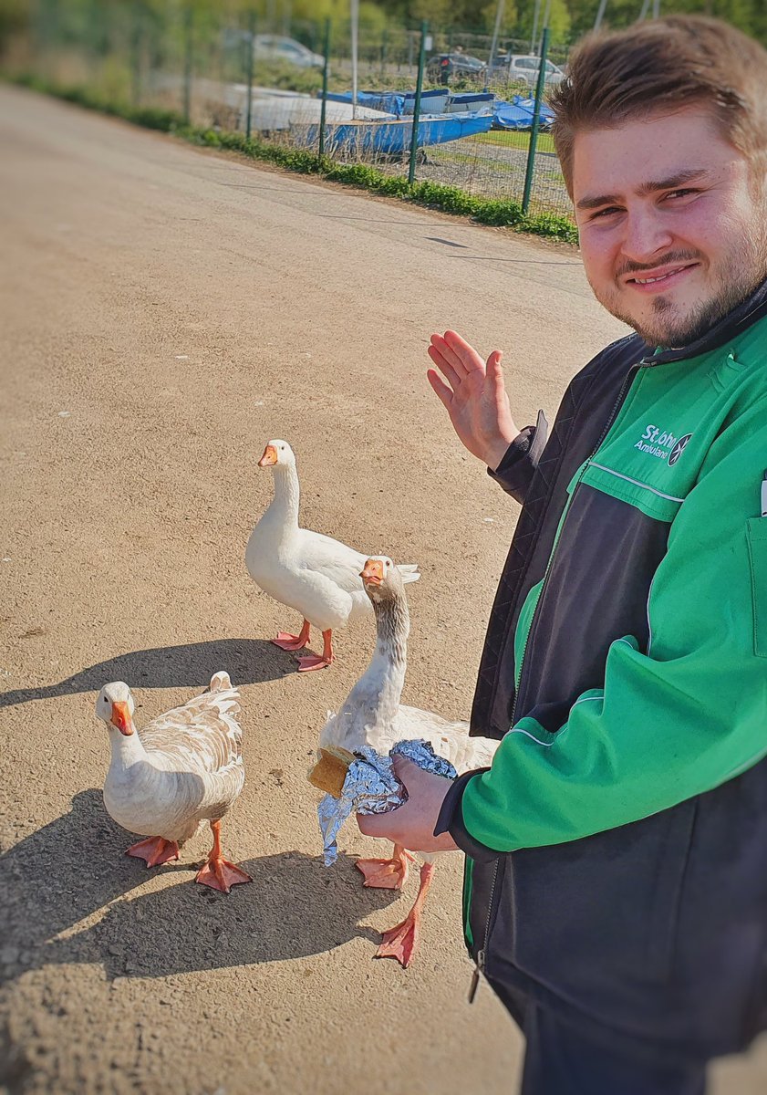 Jack_Lockley_'s tweet photo. Whilst out supporting @EMASNHSTrust on our @stjohnambulance shift today, we chose to have lunch away from station...there's definitely worse places we could have picked! We also found that @JamesDud789 is a relative #DrDolittle too! Or the geese were hungry...#volunteers https://t.co/28cJDZN3db