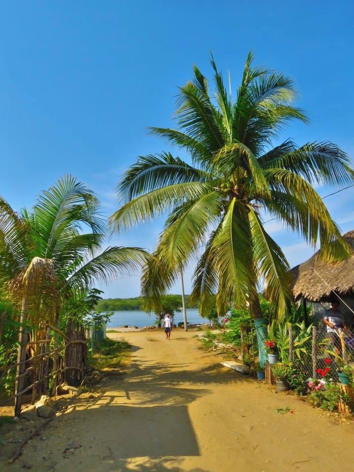 ohsunnymx's tweet photo. 🌴¿Ya conoces Chacahua en Oaxaca? 

Es un verdadero paraíso, y puedes encontrar cabañas tropicales a muy buen precio. https://t.co/VKC8ITgky5