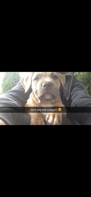 Fatty 3 years ago and now😍😍😍 https://t.co/K79GhGpMiY<a href="/tag/midgets"class="tags"><span>#midgets</span></a>