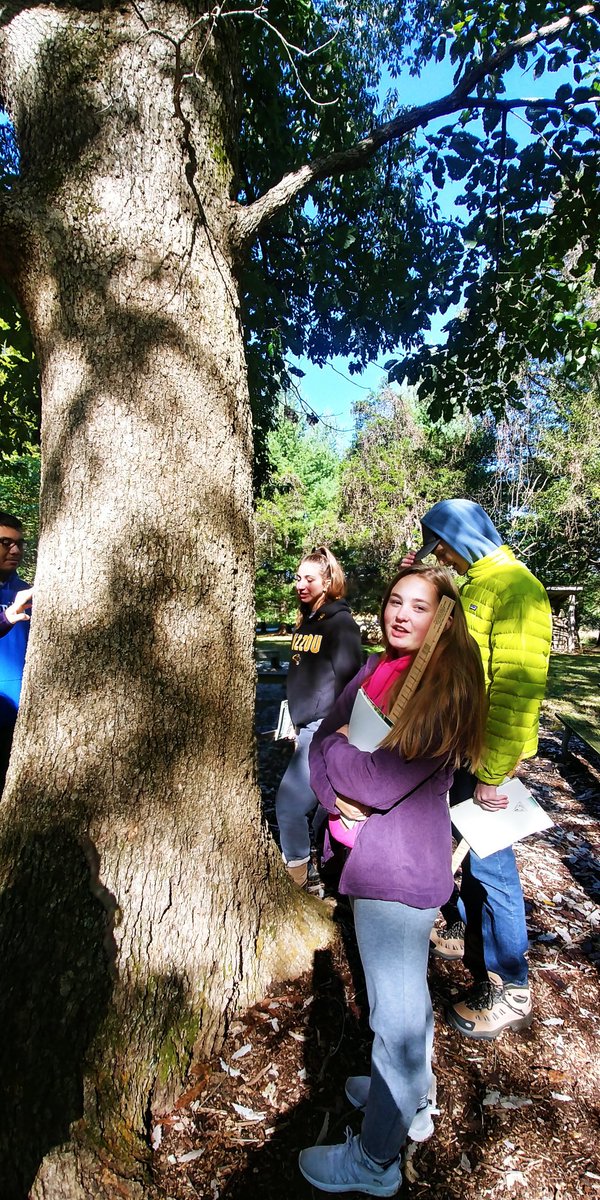 Sarah Moonier tweet media