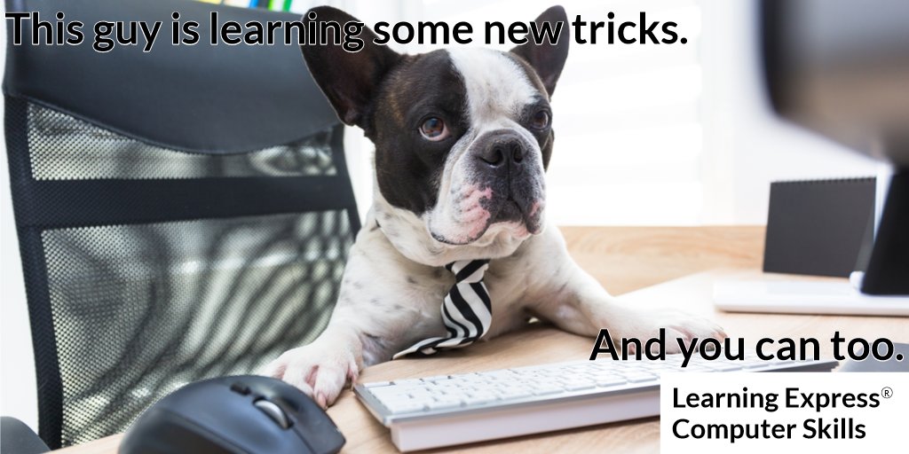 FMPublicLibrary's tweet image. Brush up on your computer skills or learn something new. Learning Express Computer Skills Center has tutorials for new to advanced users. All you need is your Library Card! #clickandlearn #ebscolex