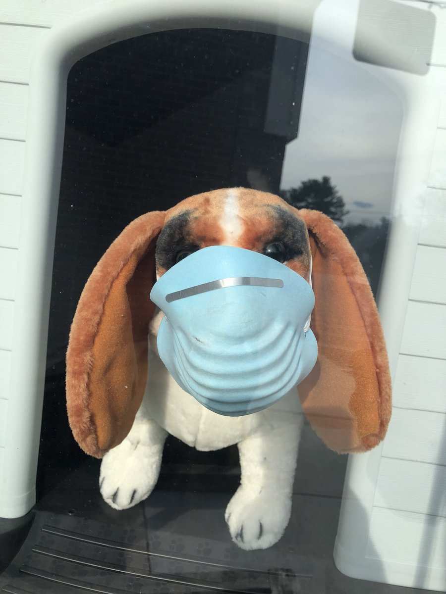 Schreibernews's tweet photo. Taking precautions at Paws Pet Boutique in Exeter. #ProtectedPets https://t.co/LyMNcrafwX