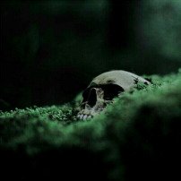 KingDMalfoy's tweet image. — 𝓓𝓻𝓪𝓬𝓸 𝓛𝓾𝓬𝓲𝓾𝓼 𝓜𝓪𝓵𝓯𝓸𝔂

𝓔𝓿𝓮𝓻𝔂𝓽𝓱𝓲𝓷𝓰 𝓪𝓫𝓸𝓾𝓽 𝓶𝓮, 𝓲𝓼 𝓪 𝓵𝓲𝓮.