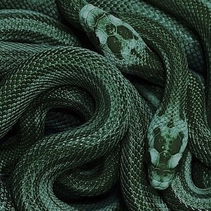 KingDMalfoy's tweet image. — 𝓓𝓻𝓪𝓬𝓸 𝓛𝓾𝓬𝓲𝓾𝓼 𝓜𝓪𝓵𝓯𝓸𝔂

𝓔𝓿𝓮𝓻𝔂𝓽𝓱𝓲𝓷𝓰 𝓪𝓫𝓸𝓾𝓽 𝓶𝓮, 𝓲𝓼 𝓪 𝓵𝓲𝓮.