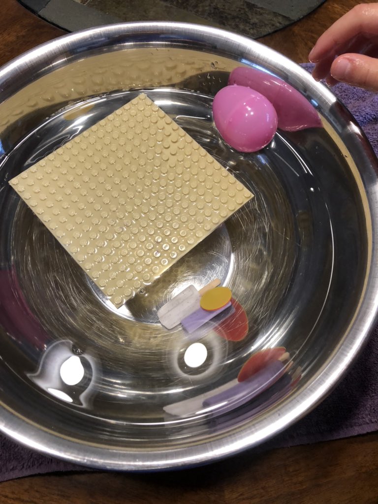 amy_r_whitehead's tweet image. This @KenwoodElementa @JCPSKY girl has been working so hard the last 2 weeks. It’s been an adjustment for sure. Today she did an experiment that blew her mind. #sinkorfloat  #WeAreJCPSAtHome #MyNTIKy @JillHandleyKES @crume_jamie