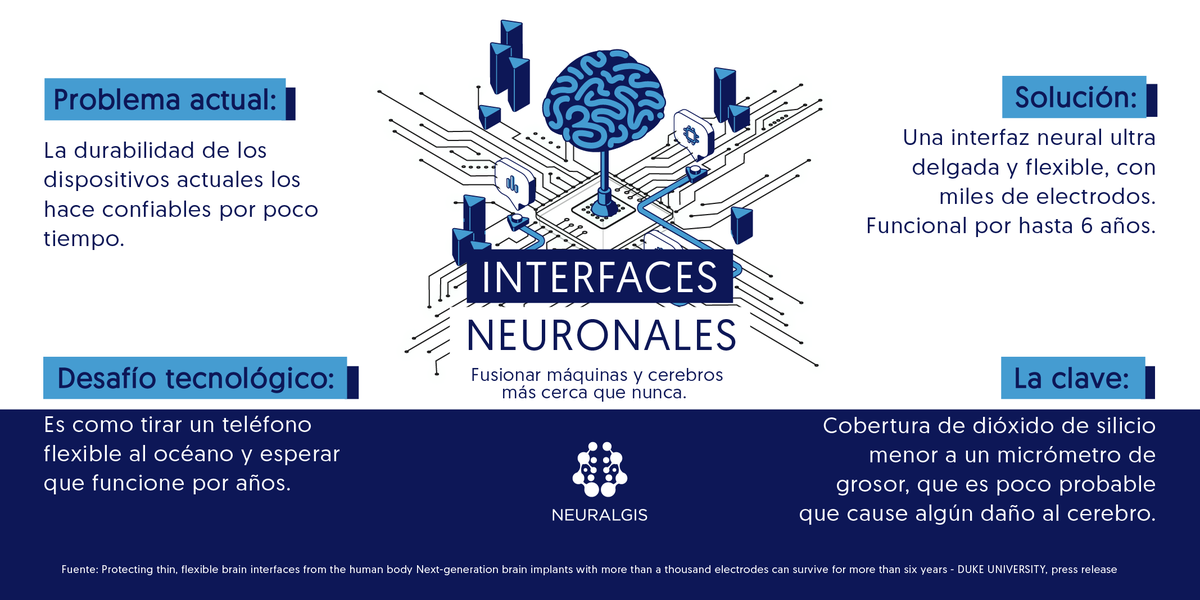 NeuralgisLab's tweet photo. Investigadores de Duke University crearon una nueva interfaz neural que podría durar hasta 6 años dentro del cerebro humano. 🧠⏳ https://t.co/fcAWd2JpVY