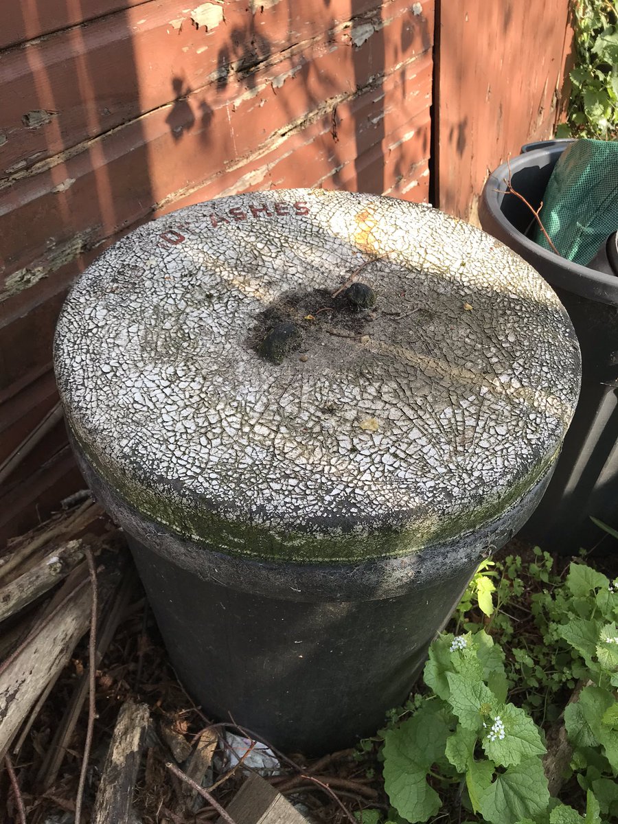 george_mckay's tweet photo. As a punk ROCKER in the 1970s I had yes a dustbin for my clothes not a wardrobe #radical I painted the lid #art checking on my old mum yesterday in Norwich I strolled to the bottom of her garden #memorydevice #gobsmack #flowersinthedustbin #nohotashes https://t.co/Ob8LKxi22P
