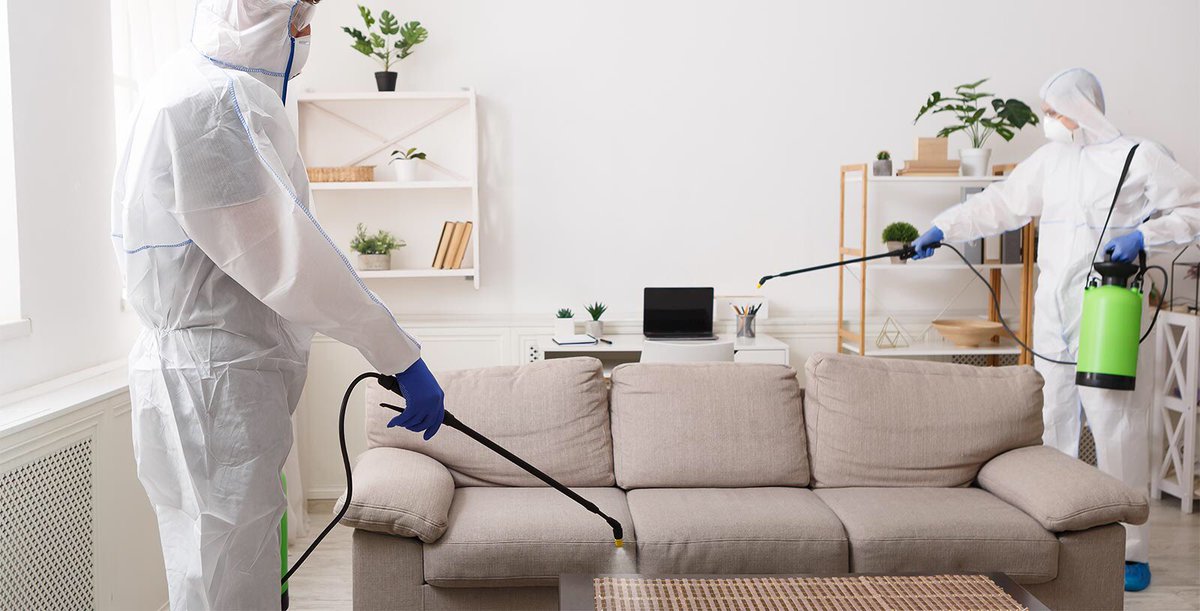 QuantumHygiene's tweet photo. Coronavirus Deep Cleaning &amp; Antiviral Sanitisation

https://t.co/2BMcVCHKvL

#commercialcleaning #officedeepcleaning #commercialdeepcleaning #deepcleaning #antiviralsanitisation #sanitisation #coronavirus #decontamination #antiviraldisinfection #disinfection #covid19uk #london https://t.co/YQ65LgQZXH