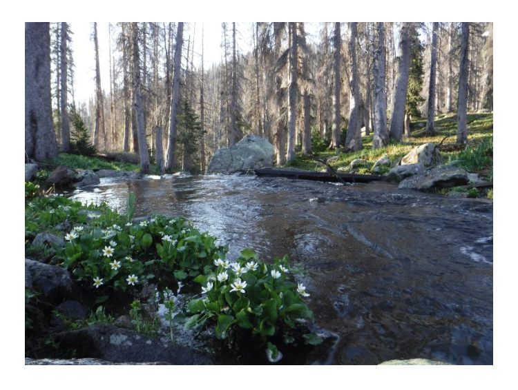 VOWilderness's tweet photo. 2020 Adventures Await You

https://t.co/tn988mMCgh https://t.co/vRJoR5BxlL
