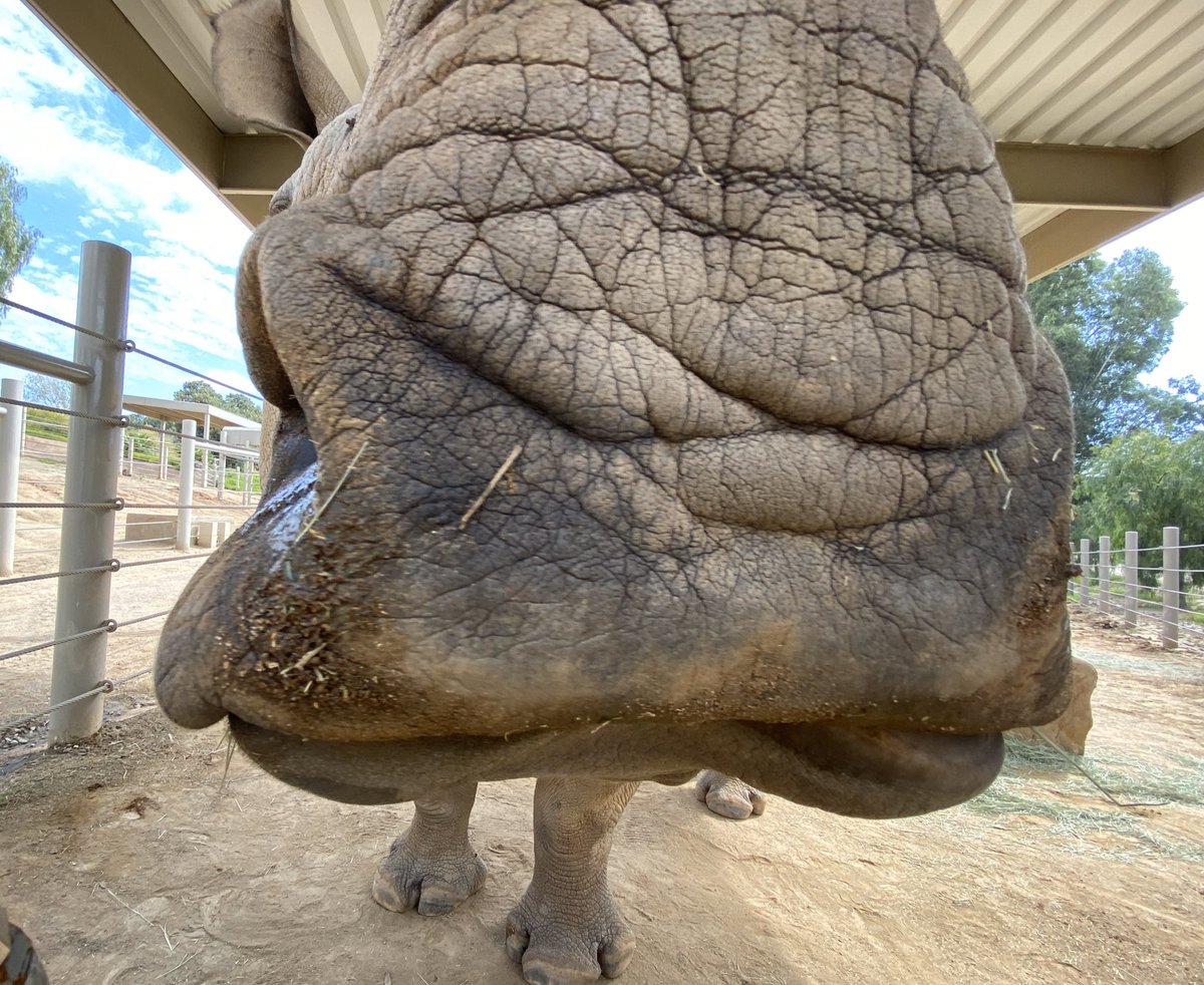 ZookeeperRick tweet media