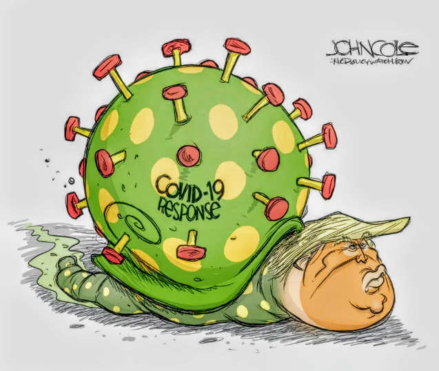 TheCitizenWatch's tweet photo. @realDonaldTrump 
Hates The USA

#DonaldTrumpHatesTheUSA https://t.co/cipp8swuE3