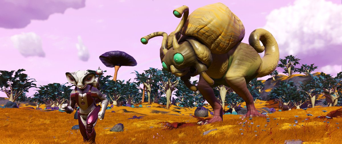 Silu_et's tweet photo. At first it was running and screaming.
From both sides.
Mistakes were made.
Then we explored and took in the sights.
Odd sort of friendship.
#NoMansSky
@NoMansPics
@NoMansSmile
@_GameScreenshot
#ScreenshotAddict #IStop4Screenshots https://t.co/qW1RLZKLv5