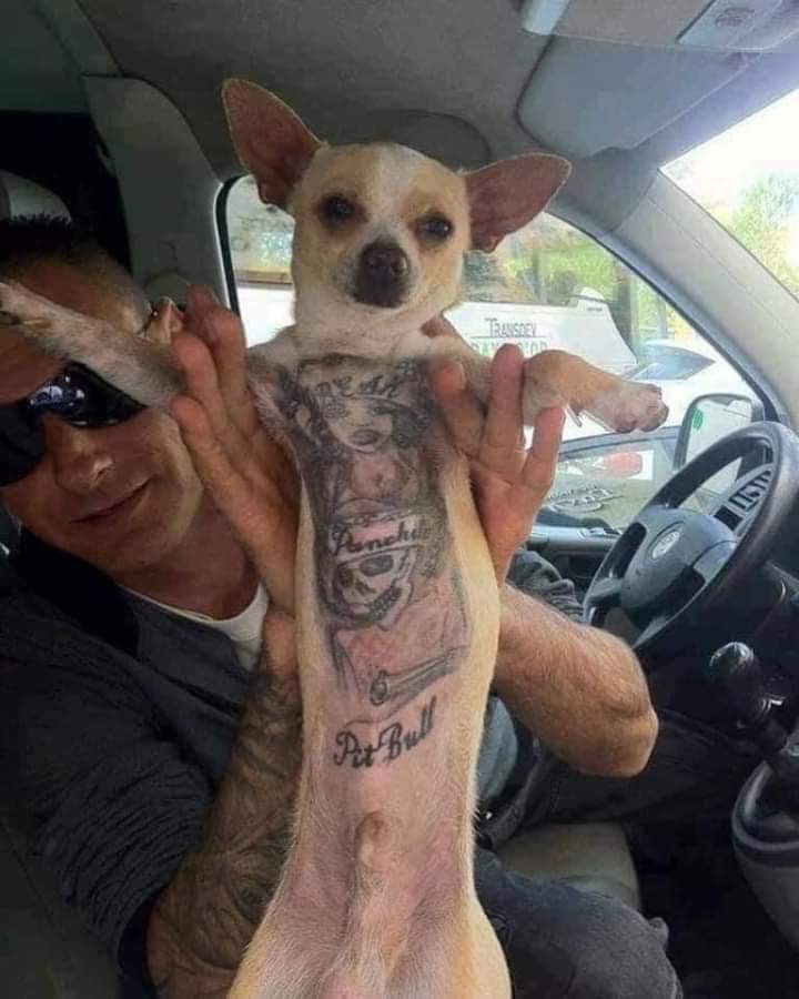 Бас чанга эр байхнээээ!!!!