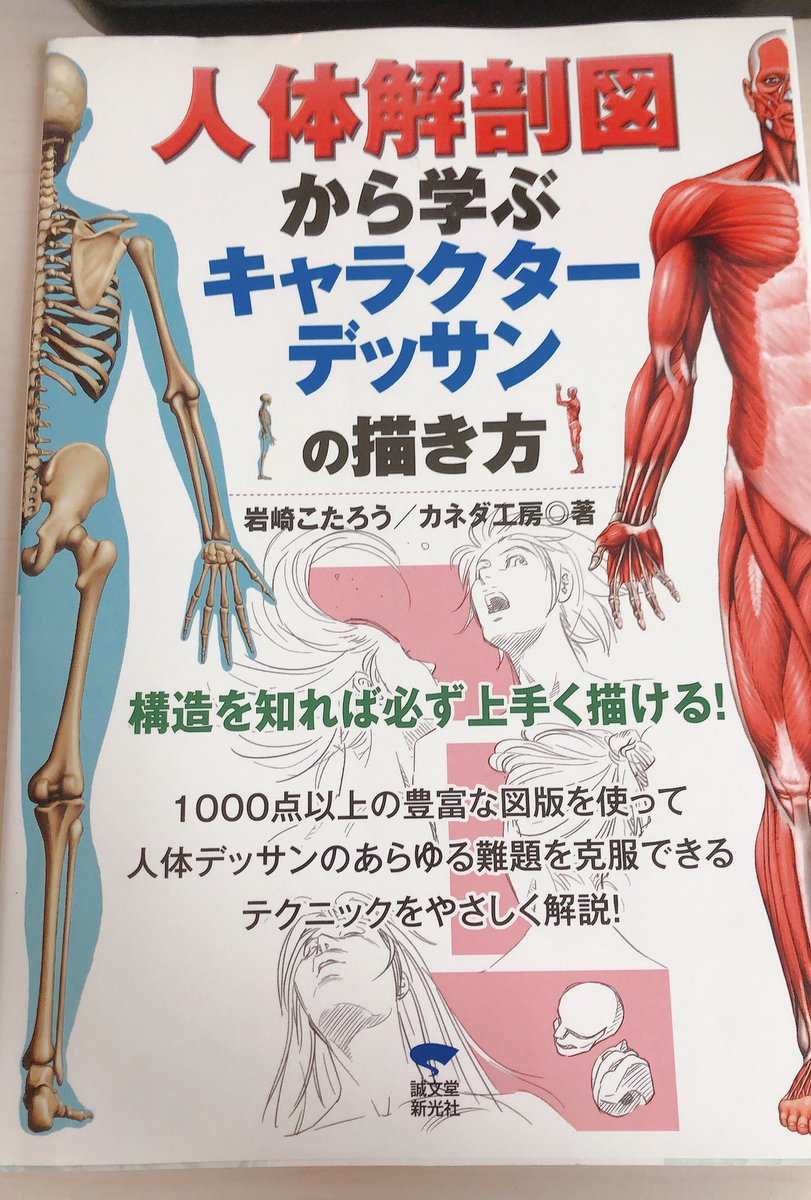 この2冊をよく見てましたー!
自分が描きたい理想に近い絵柄の人を探して購入してました?‍♀️
岩崎こたろうさんも、カネダ工房さんも手足の簡略化がとても理想で大好きです☺️? 