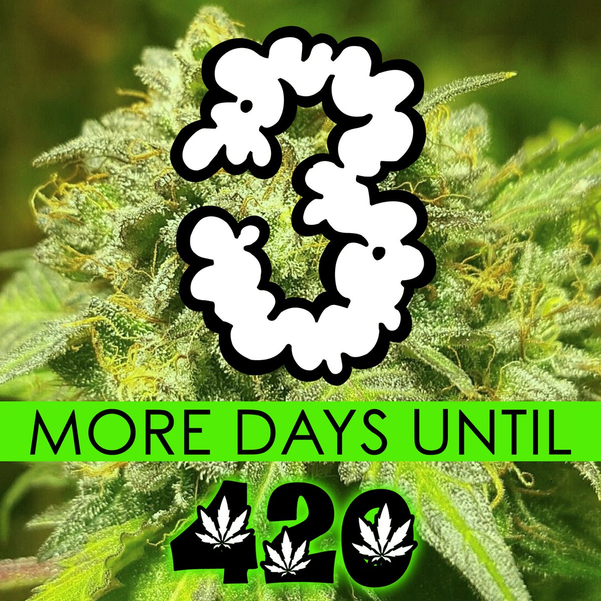3 more days until 4/20!

Watch #420Vancouver #LIVE online on Pot TV and Cannabis Life Network this April 20! 

Go to 420Vancouver.com for more info on the digital at-home version of our official #FourTwenty Vancouver celebration with music &amp; clips from our 26-year history