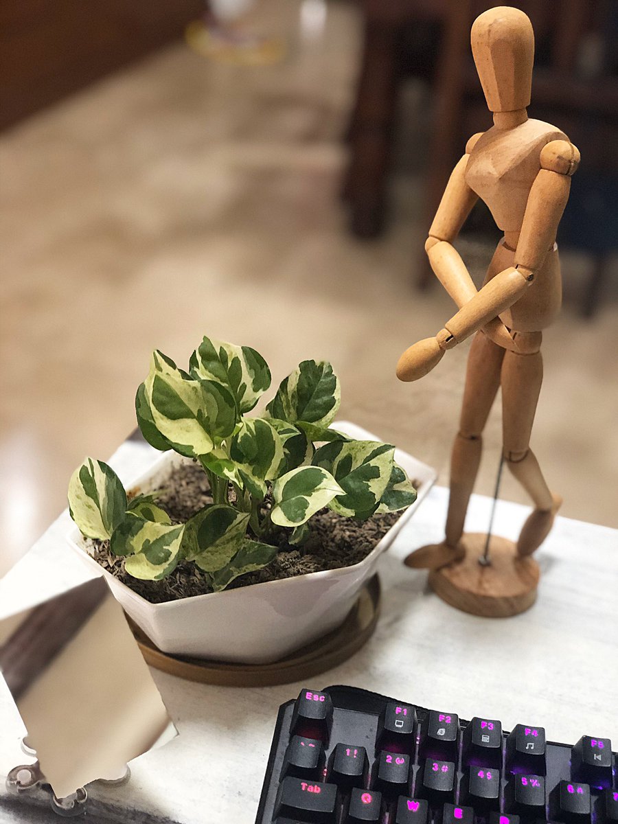 Hellokatrinaaa's tweet photo. Got a few helping hands at my workstation to help me this quarantine! https://t.co/fYw0M7URGy