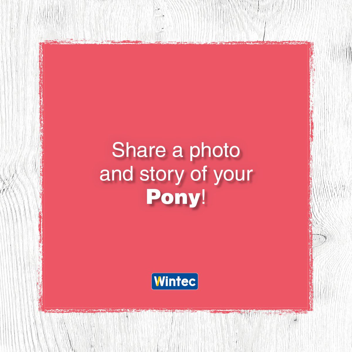 💙🐴 Pony riders unite 🐴💙 

Share a story and photos with other Pony owners world-wide!

 #wintecsaddle #wintecsaddles #noleathernolimits #timetoride