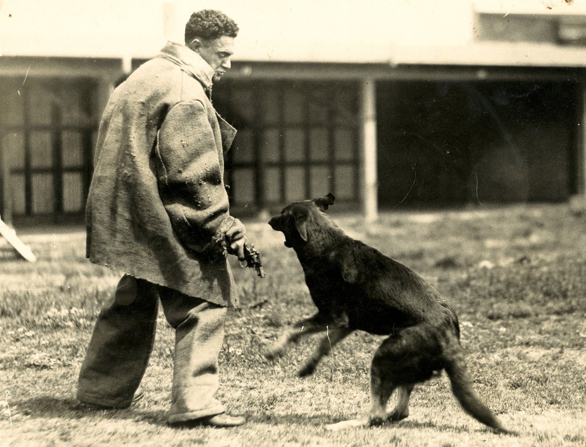 NSW State Archives tweet media