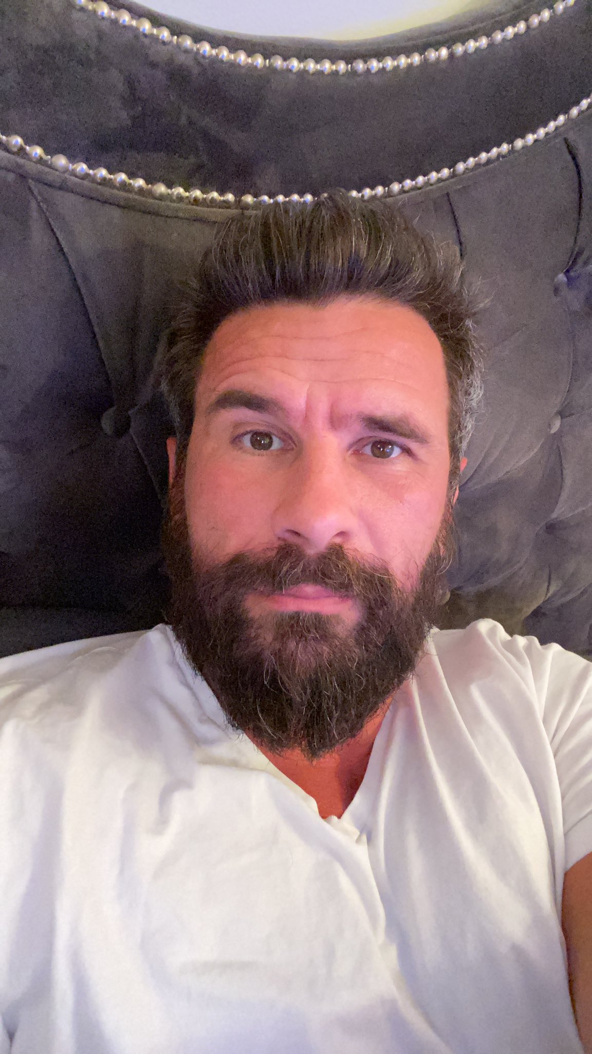 manuel ferrara on Twitter: "Bearded dragon…
