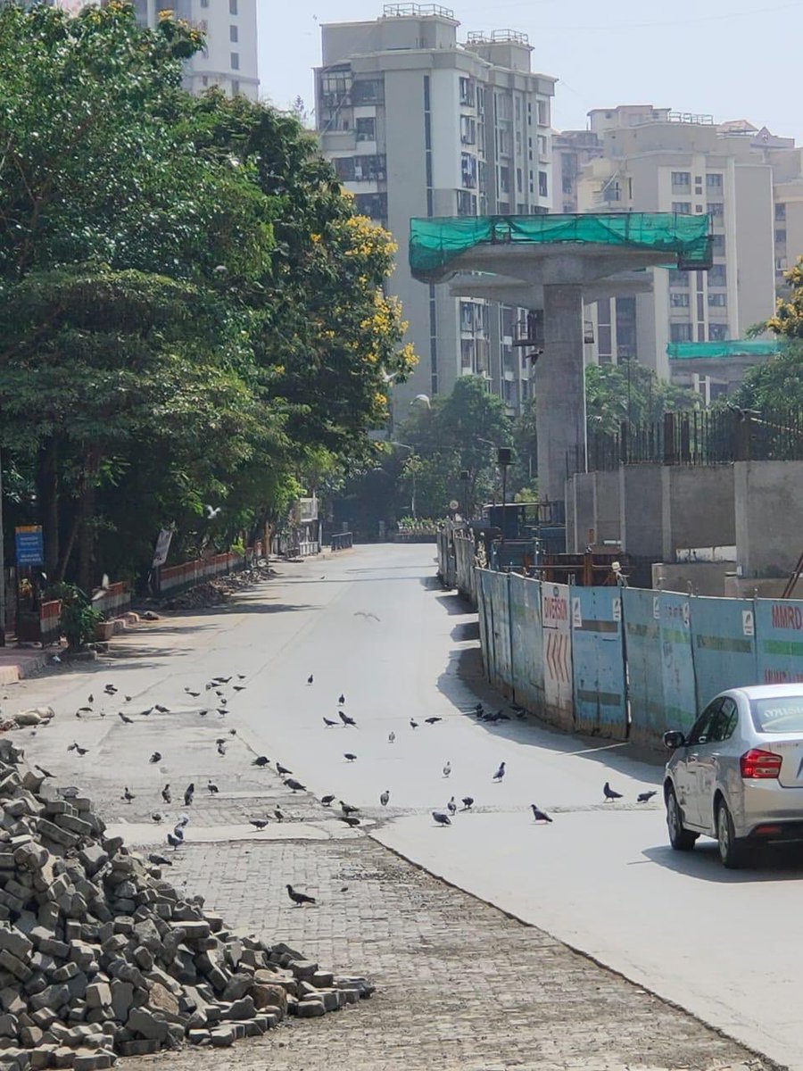 Animal lovers/feeders, be responsible for ur actions. It’s good deed to feed but not in unsafe zones like footpath &amp;road. We are watching you all daily &amp; u are responsible for their deaths. Totally unacceptable and strong actionable.@richapintoTOI <a href="/_iampratip/">Pratip Acharya</a> <a href="/mybmc/">माझी Mumbai, आपली BMC</a> <a href="/mybmcwardKW/">Ward KW BMC</a>