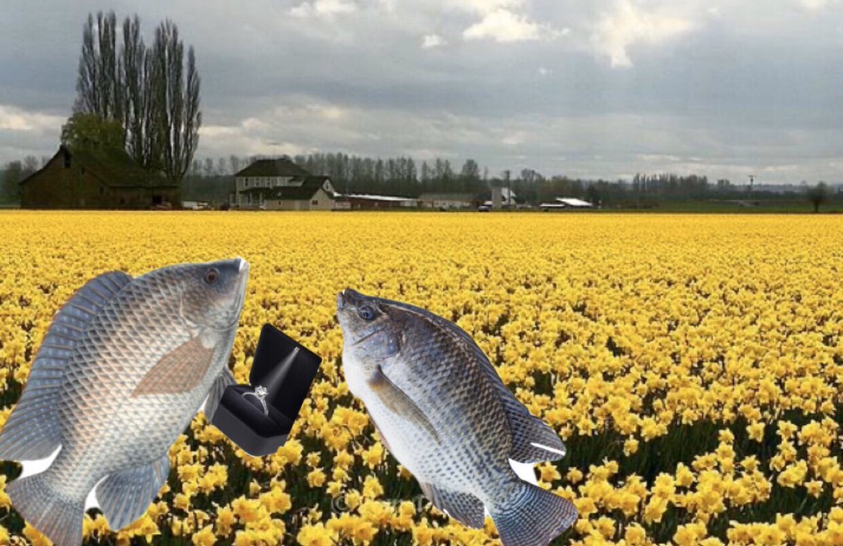 jenny21212121's tweet photo. If Big Fish the musical didnt look like this then I don’t EVER WANNA SEE IT #bigfishthemusical @BigFishUSA @bikinibottomuni https://t.co/K5mvjEpoFS