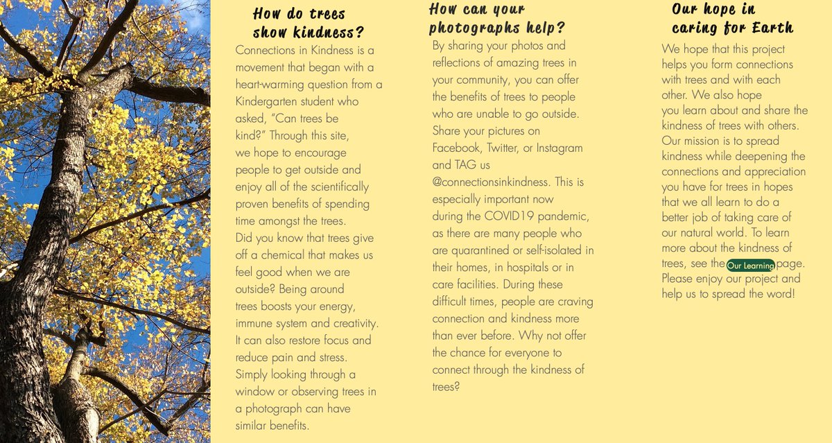 Check out our tree photography website. Join us in photographing trees and in spreading their kindness! 
connectionsinkindness.com 
#treesrkind #sd61learn  #inquirymindset