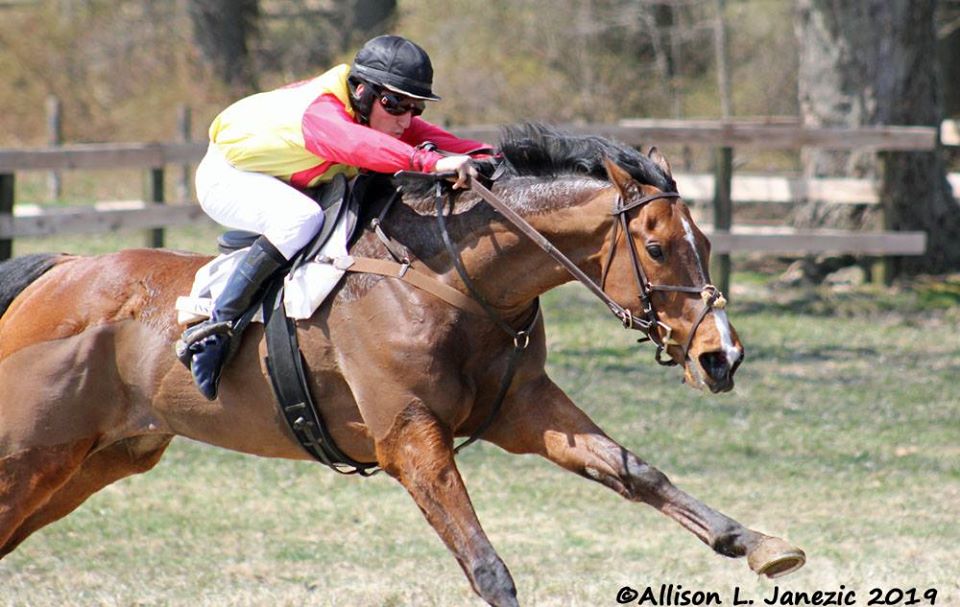 Prairie_Bayou's tweet photo. RIP Senior Senator. He passed due to complications from colic while preparing for a 2021 campaign. #SeniorSenator #MarylandHuntCup
https://t.co/6uc00rkNda https://t.co/zmdfcgyyh7