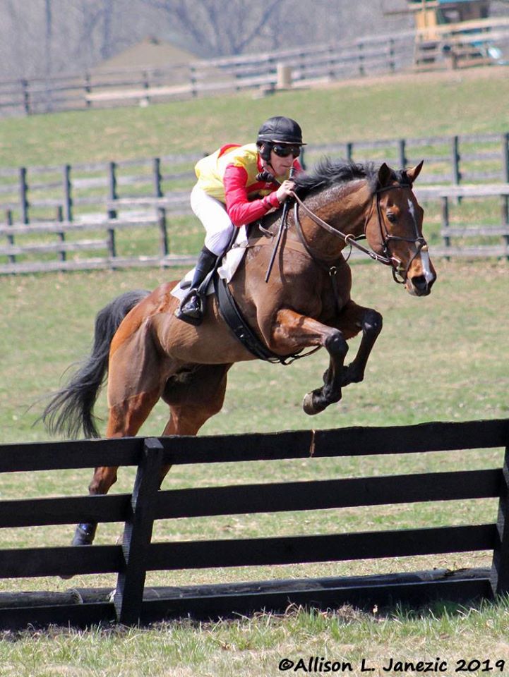 Prairie_Bayou's tweet photo. RIP Senior Senator. He passed due to complications from colic while preparing for a 2021 campaign. #SeniorSenator #MarylandHuntCup
https://t.co/6uc00rkNda https://t.co/zmdfcgyyh7